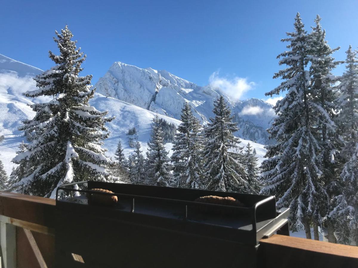 Appartement T2 Col De Merdassier Au Pied Des Pistes Manigod Exterior photo